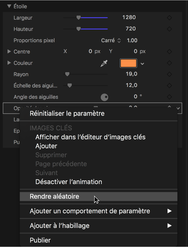 Sélection du paramètre Rendre aléatoire dans le menu Animation