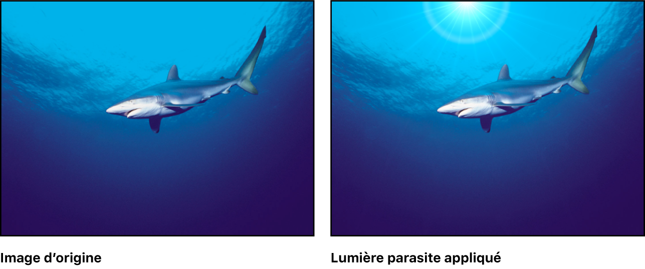 Canevas affichant le générateur Lumière parasite