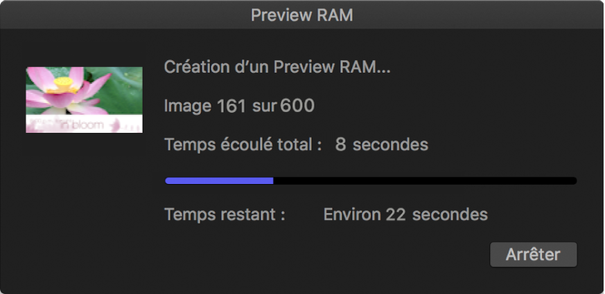 Zone de dialogue de progression de preview RAM