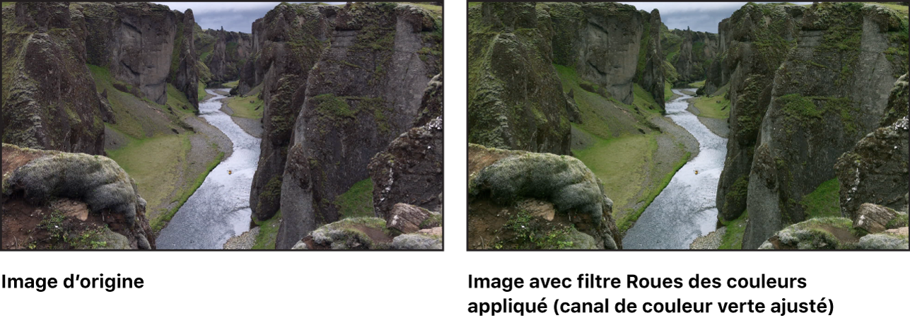 Canevas affichant l’effet du filtre Roues des couleurs (avec le canal du vert des tons intermédiaires ajusté)