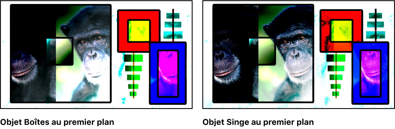 Canevas affichant les boîtes et le singe fusionnés à l’aide du mode Lumière vive