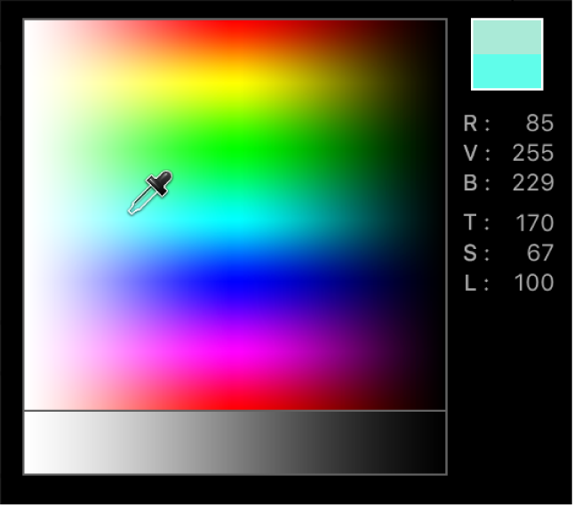 Palette de couleurs