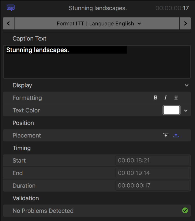 Das Informationsfenster „Untertitel“ mit den Steuerelementen zum Formatieren von Untertiteltext im Format „iTT“