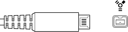 Conector FireWire 800