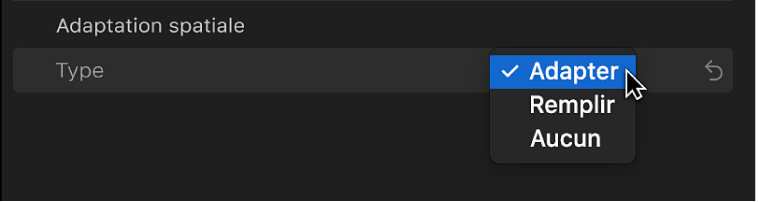 Le menu local Type dans la section Adaptation spatiale de l’inspecteur vidéo