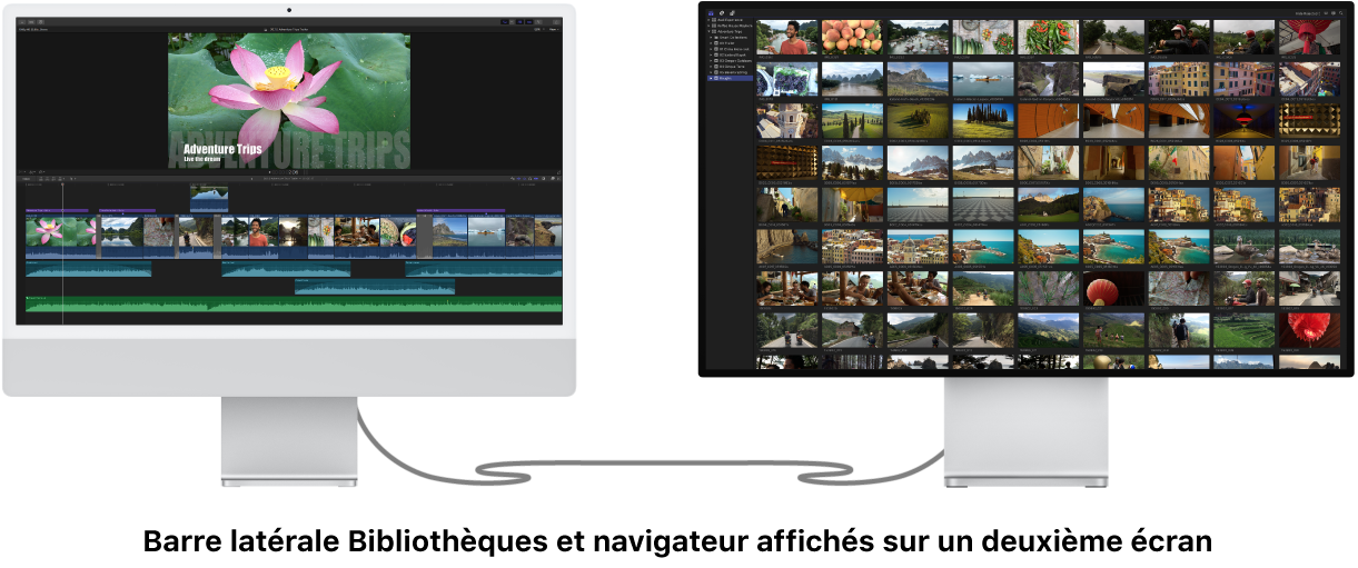 Barre latérale Bibliothèques et navigateur affichés sur un deuxième écran