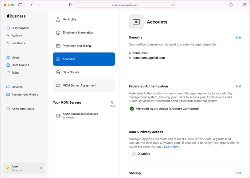 The Apple Business Manager federated authentication connection.