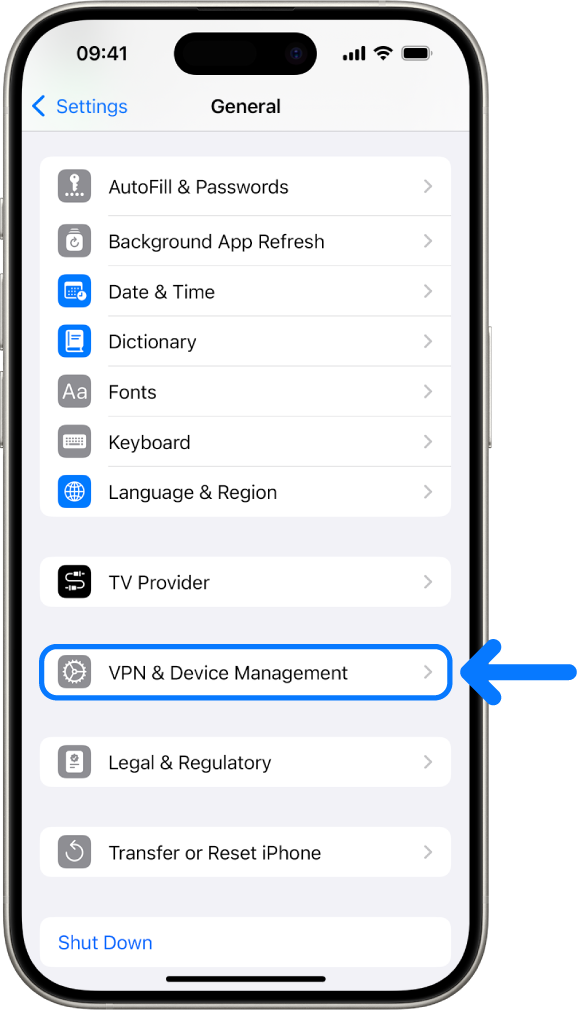 An iPhone screen showing VPN & Device Management selected.