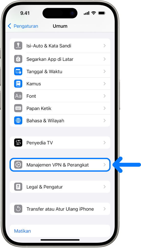 Layar iPhone menampilkan Manajemen VPN & Perangkat dipilih.