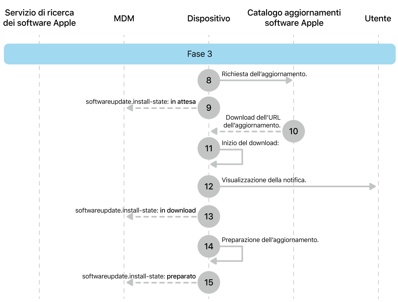 La fase 3 che mostra i passaggi da 8 a 16 dell’implementazione obbligatoria dell’aggiornamento software Apple.