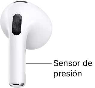 La ubicación del sensor de presión en los AirPods 3, a lo largo de la parte cilíndrica de cada uno de los AirPods.