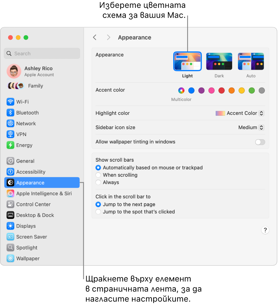 Прозорецът Appearance (Изглед) в System Settings (Системни настройки).