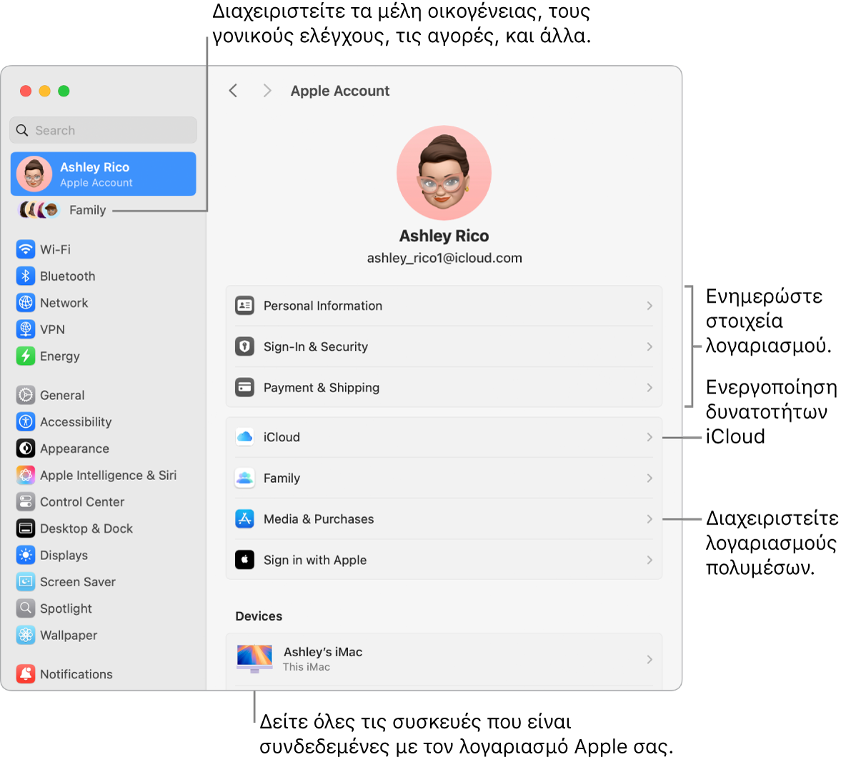 Οι ρυθμίσεις λογαριασμού Apple στις Ρυθμίσεις συστήματος με επεξηγήσεις για ενημέρωση των στοιχείων λογαριασμού, ενεργοποίηση ή απενεργοποίηση δυνατοτήτων iCloud, διαχείριση λογαριασμών πολυμέσων, και η Οικογένεια όπου μπορείτε να διαχειριστείτε τα μέλη οικογένειας, τον γονικό έλεγχο, τις αγορές και πολλά άλλα.