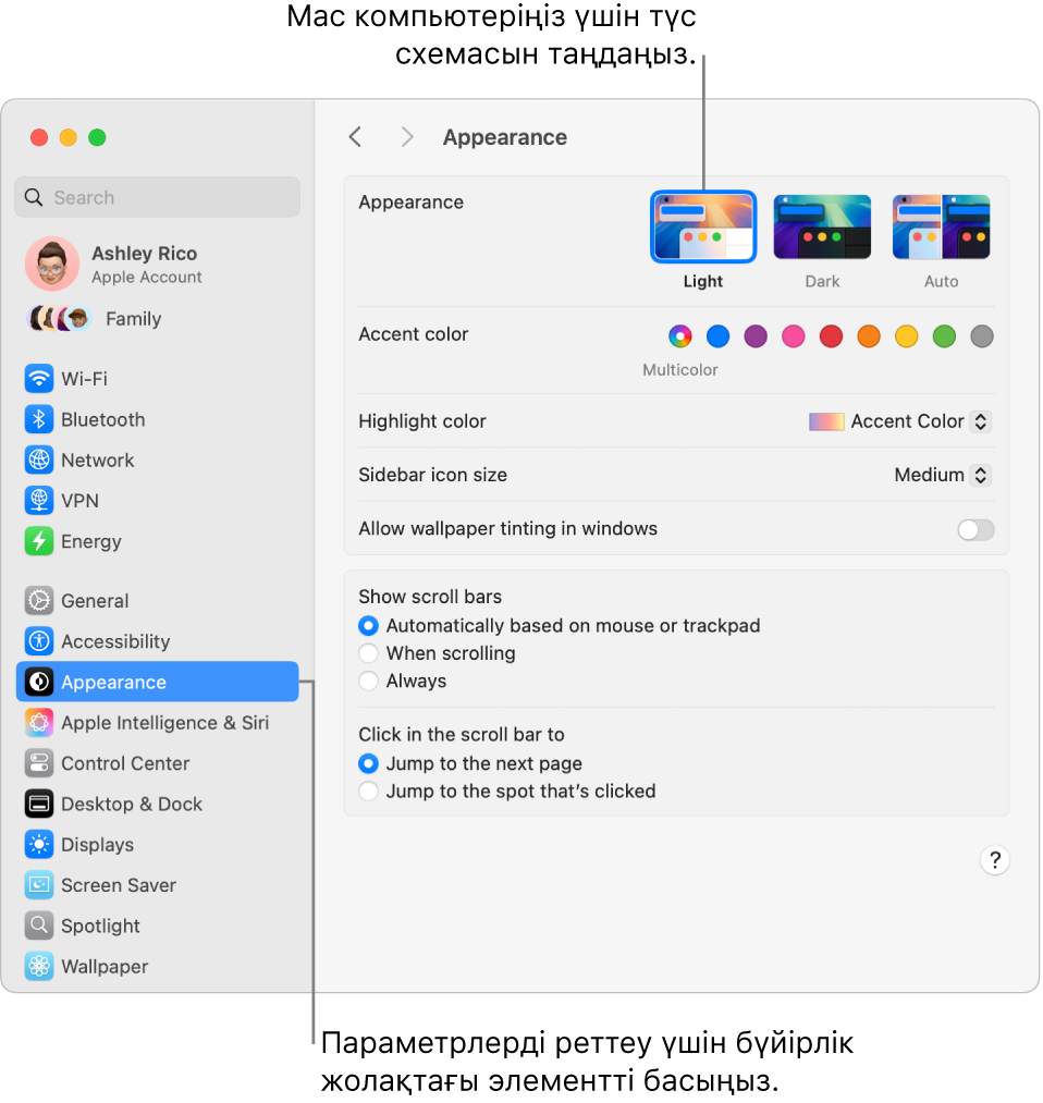 System Settings тармағындағы Appearance терезесі.