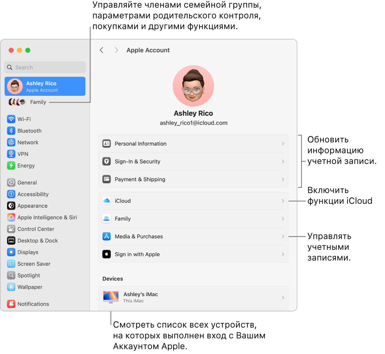 Настройки Аккаунта Apple в Системных настройках. Сносками показаны параметры обновления сведений учетной записи, включения или выключения функций iCloud и управления настройками учетных записей для мультимедиа. В настройках Семейного доступа показаны параметры управления устройствами членов семьи, родительским контролем, покупками и многим другим.