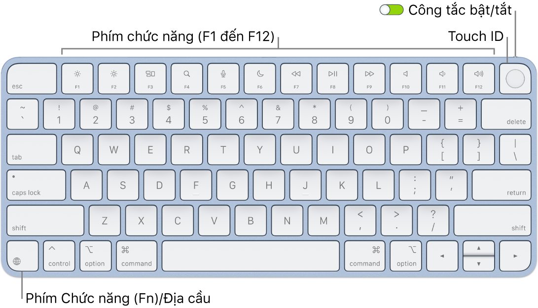 Magic Keyboard có Touch ID đang hiển thị hàng các phím chức năng, Touch ID ở trên cùng và phím Chức năng (Fn)/Địa cầu ở góc phía dưới bên trái.