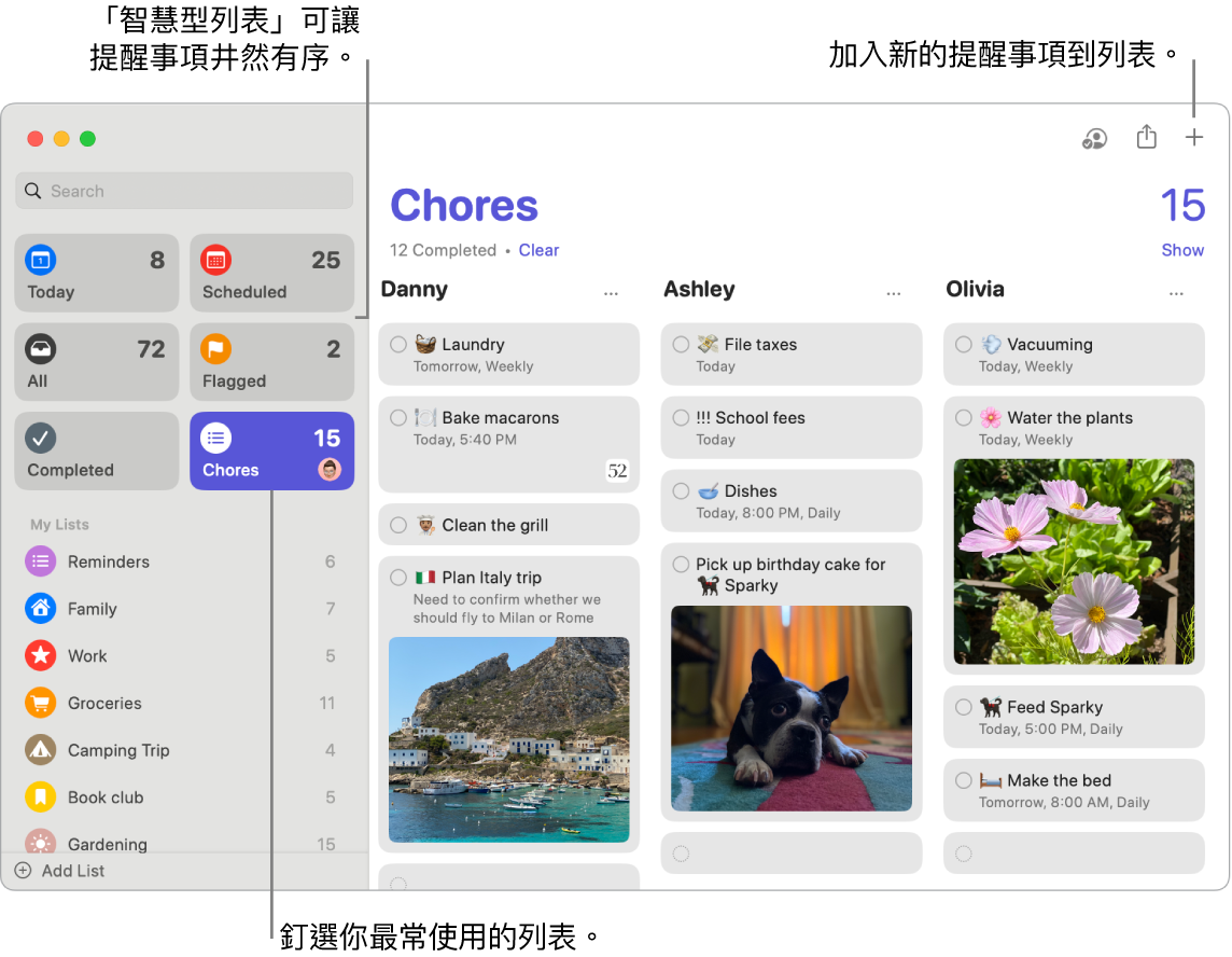 「提醒事項」視窗在左側顯示智慧型列表，而下方為其他提醒事項和列表。指標在提醒事項中。「智慧型列表」和「新增提醒事項」按鈕的說明框。