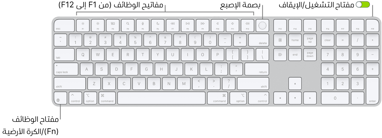 لوحة مفاتيح ماجيك المزودة ببصمة الإصبع ولوحة مفاتيح رقمية، يظهر فيها صف مفاتيح الوظائف وبصمة الإصبع على امتداد الجزء العلوي، ومفتاح الوظائف (Fn)/الكرة الأرضية على يمين مفتاح ⌦.