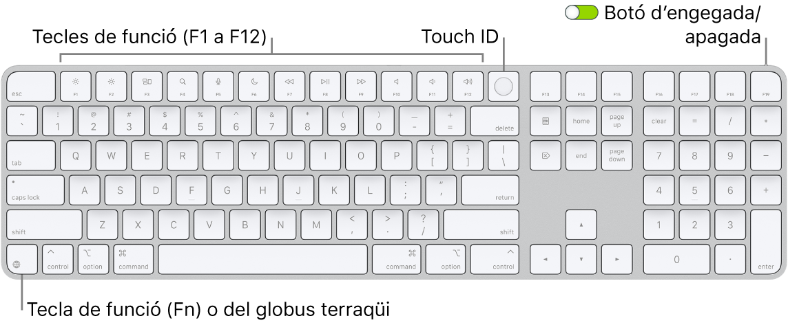 Un Magic Keyboard amb Touch ID i teclat numèric, en què es veu la filera de tecles de funció amb el Touch ID a la part superior i la tecla de funció (Fn) o del globus terraqüi a la dreta de la tecla Eliminar.