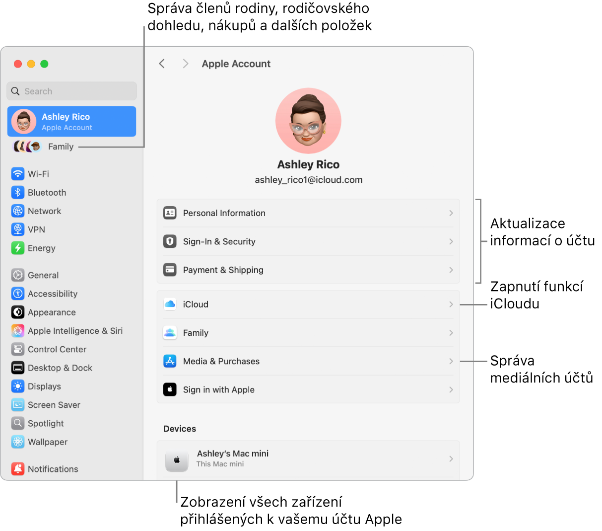 Volby účtu Apple v Nastavení systému s popisky u ovládacích prvků pro aktualizaci informací o účtu, zapnutí nebo vypnutí různých funkcí iCloudu a správu účtů pro média a u volby Rodina, která vám umožňuje spravovat členy rodiny, rodičovský dohled, nákupy a další položky.