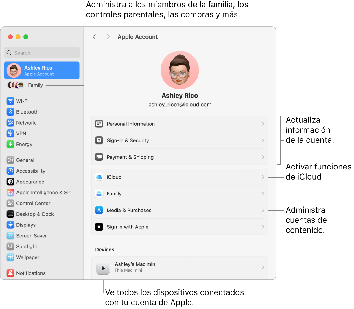 La configuración de la cuenta de Apple en Configuración del Sistema con textos para actualizar la información de la cuenta, activar o desactivar funciones de iCloud, administrar cuentas de contenido, y Familia, donde puedes administrar familiares, controles parentales, compras y más.