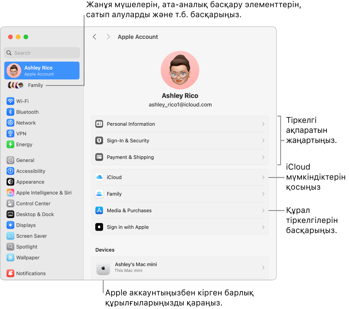 Аккаунт ақпаратын жаңарту, iCloud мүмкіндіктерін қосу немесе өшіру, медиа аккаунттарын басқару үшін тілше деректері бар System Settings терезесіндегі және ішінде отбасы мүшелерін, ата-аналық бақылауларды, сатып алуларды және т.б. басқаруға болатын Family терезесіндегі Apple аккаунтының параметрлері.