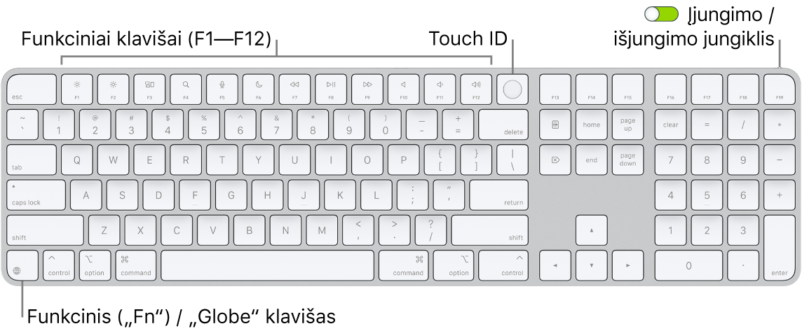 Magic Keyboard“ ir „Touch ID“ - Apple Palaikymas (LT)