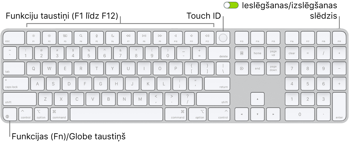 Tastatūra Magic Keyboard ar Touch ID un ciparu tastatūra, kam augšdaļā redzama funkciju taustiņu rinda un Touch ID, bet pa labi no taustiņa Delete — taustiņš Function (Fn)/Globe.