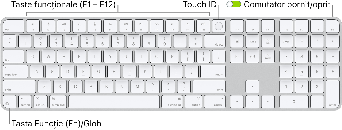 Tastatura Magic Keyboard cu Touch ID și tastatură numerică afișând rândul de taste funcționale și senzorul Touch ID în partea de sus, precum și tasta Funcție (Fn)/Glob la dreapta tastei Șterge.