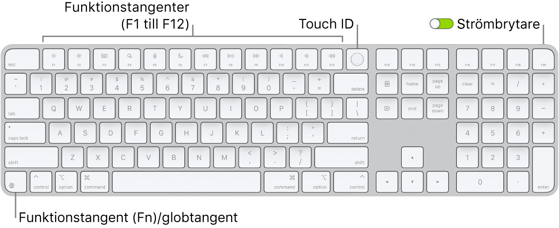 Magic Keyboard med Touch ID och numeriskt tangentbord där raden med funktionstangenter och Touch ID visas längs överkanten och funktions (Fn)-/globtangenten till höger om backstegstangenten.