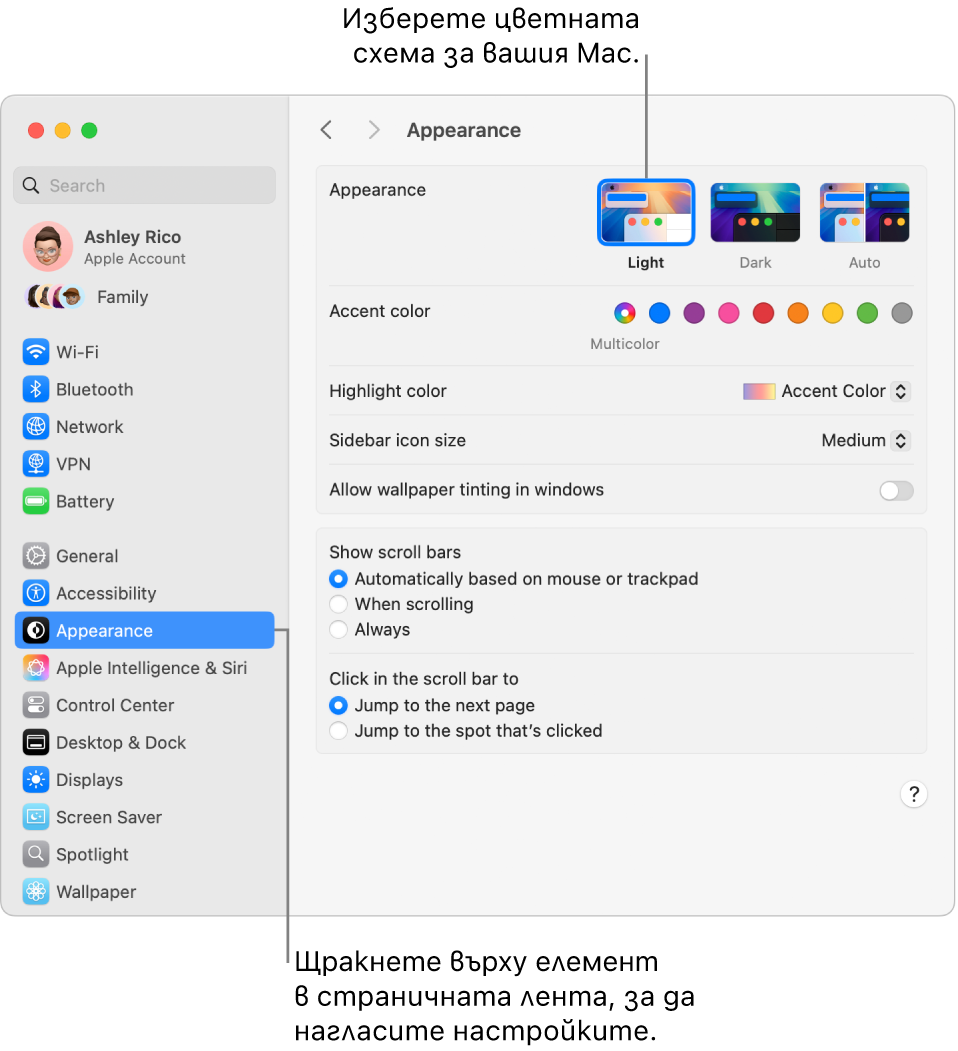 Прозорецът Appearance (Изглед) в System Settings (Системни настройки).