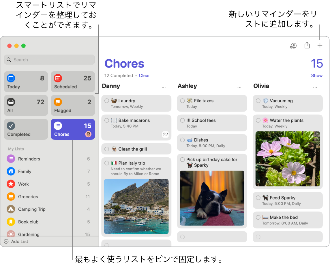 「リマインダー」ウインドウ。左側にはスマートリスト、下にはほかのリマインダーとリストがあります。ポインタはリマインダーの中に置かれています。スマートリストと「新規リマインダーを追加」ボタンへのコールアウトがあります。