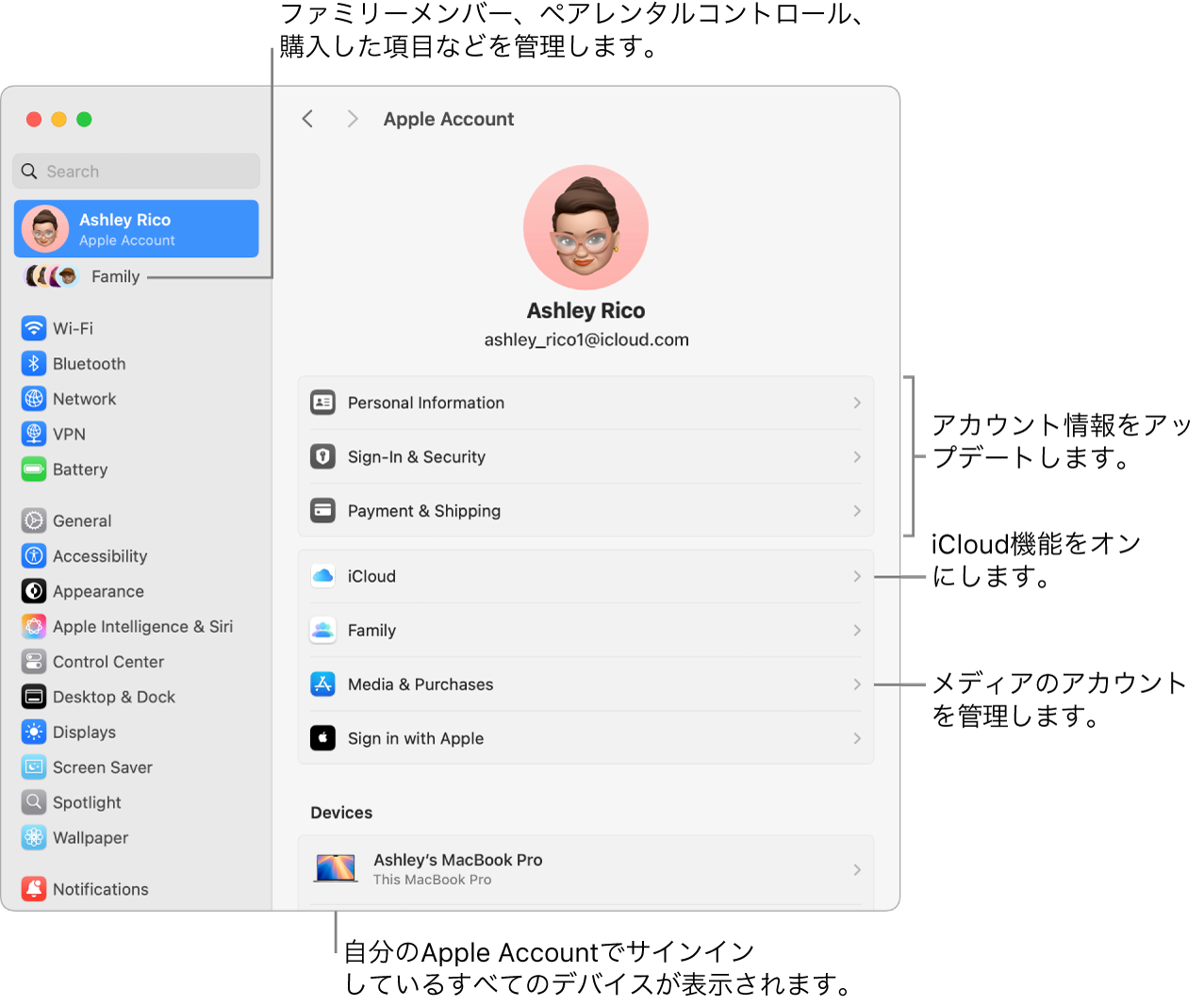 「システム設定」の「Apple Account」設定。アカウント情報のアップデート、iCloud機能のオン/オフ、メディアアカウントの管理と、ファミリーメンバー、ペアレンタルコントロール、購入などを管理できる「ファミリー」へのコールアウトがあります。