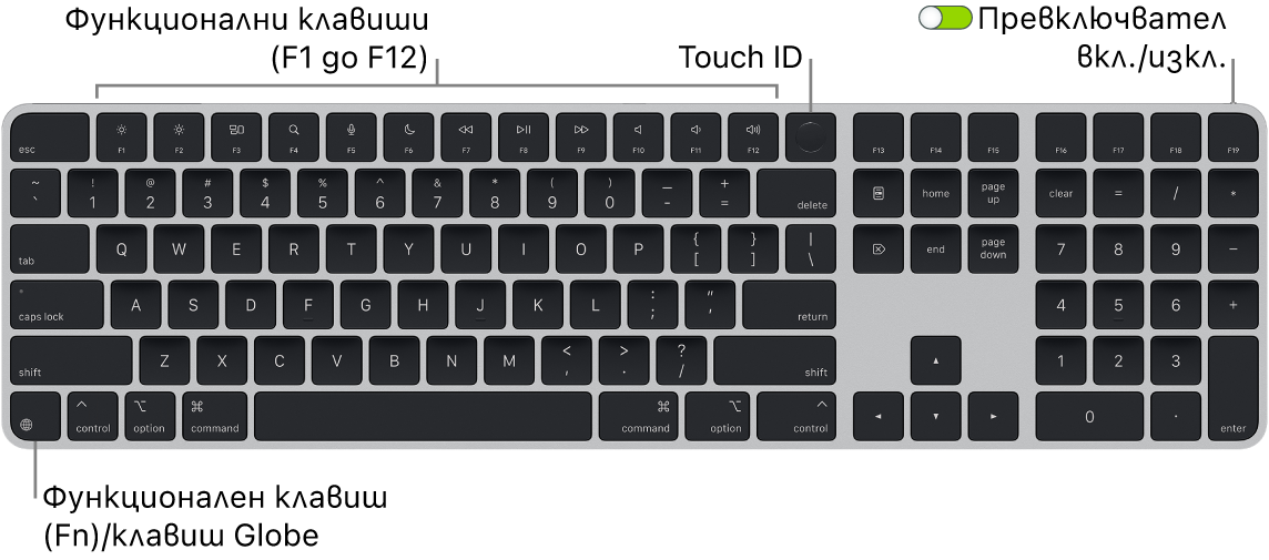 Клавиатурата Magic Keyboard с Touch ID и Numeric Keypad (Клавиатура с цифри), която показва редицата с функционални клавиши и Touch ID в горния край и клавиша Function (Fn)/Globe най-долу вляво.