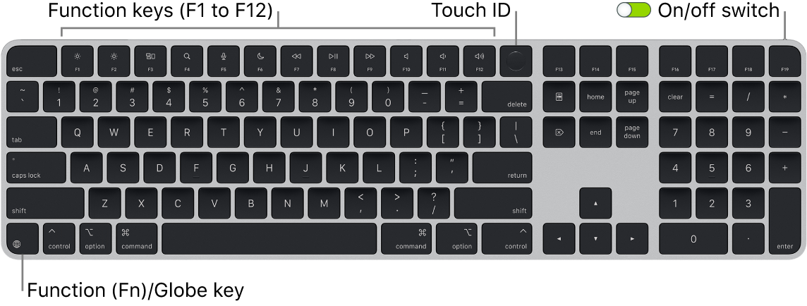 The Magic Keyboard with Touch ID and Numeric Keypad showing the row of function keys and Touch ID across the top, and the Function (Fn)/Globe key on the bottom left.