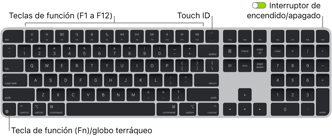 El Magic Keyboard con Touch ID y teclado numérico mostrando la fila de teclas de función con el sensor Touch ID en la parte superior y la tecla de función (Fn)/globo terráqueo en la parte inferior izquierda.