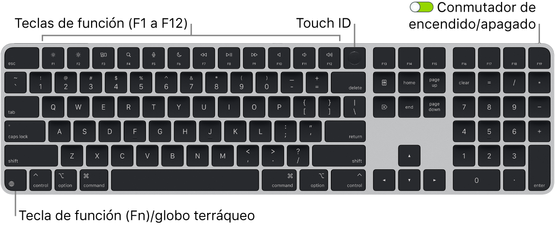 Magic Keyboard con Touch ID y teclado numérico, con la fila de teclas de función y Touch ID en la parte superior, y la tecla del globo terráqueo o función (Fn) en la parte inferior izquierda.