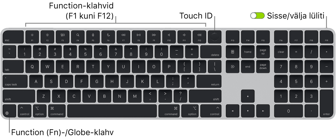 Touch ID-ga ja numbriklahvistikuga Magic Keyboard, mille ülaosas on funktsiooniklahvide rida ja Touch ID ning all vasakul klahv Function (Fn)/Globe.