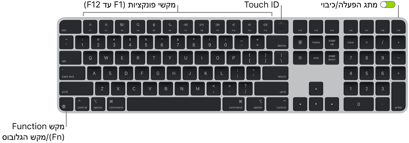 ה-Magic Keyboard עם ה-Touch ID ומשטח ספרות מציגה את שורת מקשי הפונקציה ואת ה-Touch ID לאורך החלק העליון, ואת מקש הפונקציה (Fn)/גלובוס למטה בצד.
