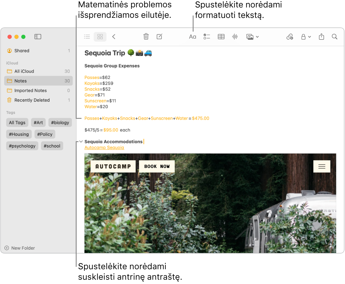 Programos „Notes“ (užrašai) langas, kuriame rodomi išlaidų už stovyklą „Sequoia“ skaičiavimai, tekstinė nuoroda į interneto svetainę ir laikino būsto nuotrauka.