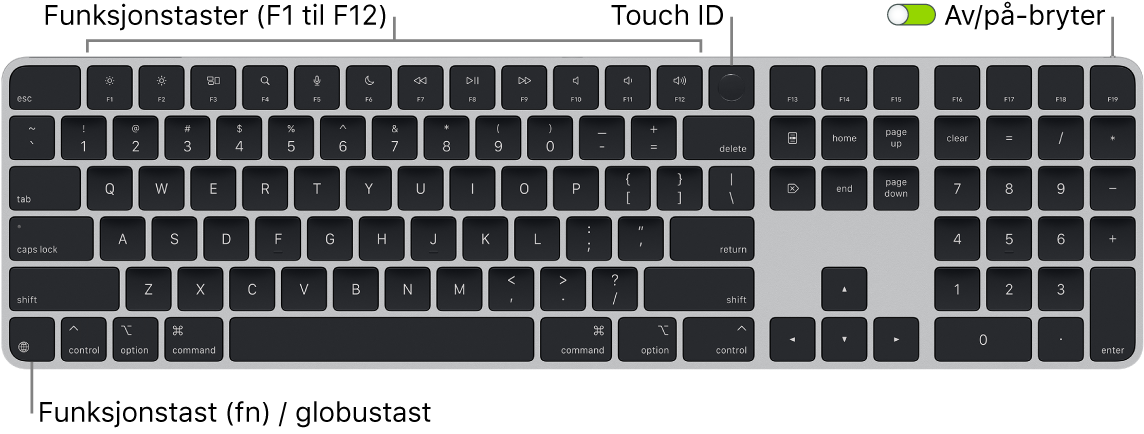 Magic Keyboard med Touch ID og talltastatur vises. Raden med funksjonstaster og Touch ID er øverst og funksjonstasten (Fn) / globustasten er nederst til venstre.