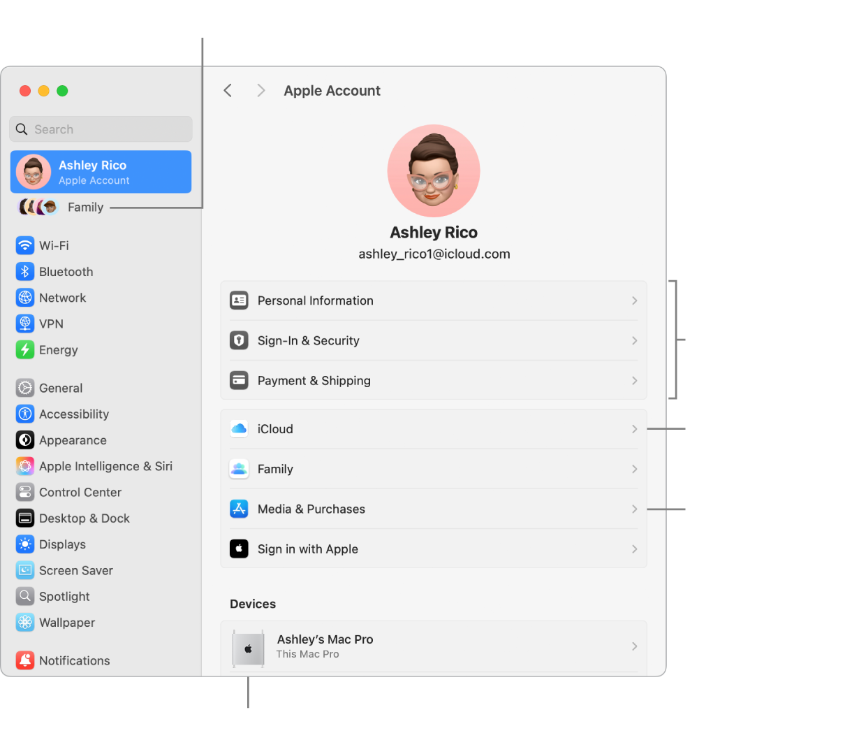 Ajustes da Conta Apple nos Ajustes do Sistema com chamadas para atualizar informações da conta, ativar ou desativar recursos do iCloud, gerenciar contas de mídia, e Família, onde você pode gerenciar membros da família, controles parentais, compras e outros.
