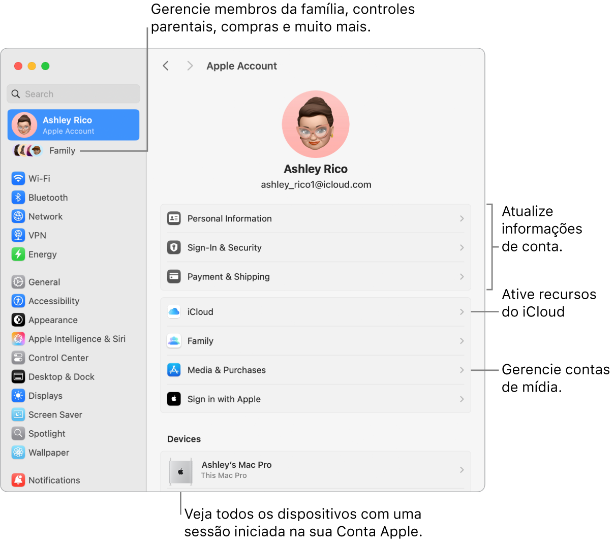 Ajustes da Conta Apple nos Ajustes do Sistema com chamadas para atualizar informações da conta, ativar ou desativar recursos do iCloud, gerenciar contas de mídia, e Família, onde você pode gerenciar membros da família, controles parentais, compras e outros.