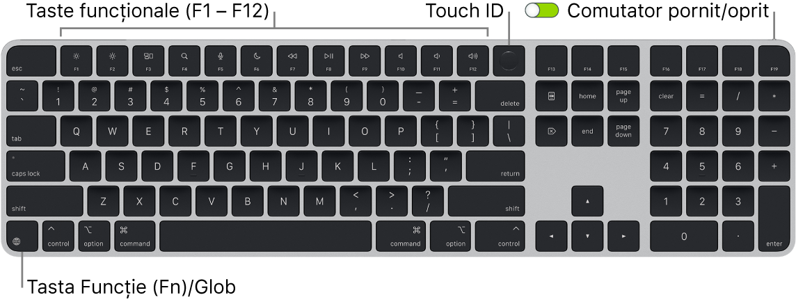 Tastatura Magic Keyboard cu Touch ID și tastatură numerică afișând rândul de taste funcționale și senzorul Touch ID în partea de sus, precum și tasta Funcție (Fn)/Glob în partea din stânga jos.