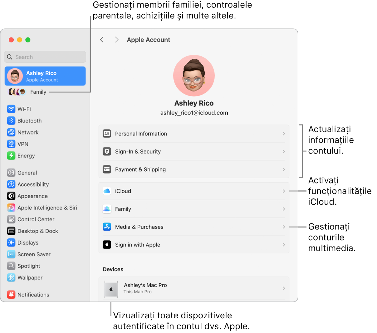 Configurările contului Apple din Configurări sistem cu explicații pentru actualizarea informațiilor contului dvs., activarea sau dezactivarea funcționalităților iCloud, gestionarea conturilor multimedia și Familie, unde puteți gestiona membrii familiei, controalele parentale, cumpărăturile și altele.