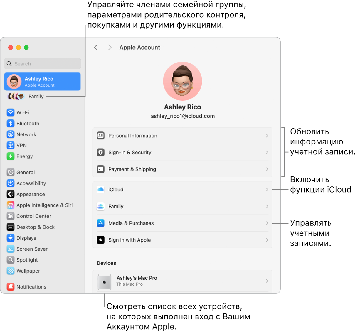 Настройки Аккаунта Apple в Системных настройках. Сносками показаны параметры обновления сведений учетной записи, включения или выключения функций iCloud и управления настройками учетных записей для мультимедиа. В настройках Семейного доступа показаны параметры управления устройствами членов семьи, родительским контролем, покупками и многим другим.