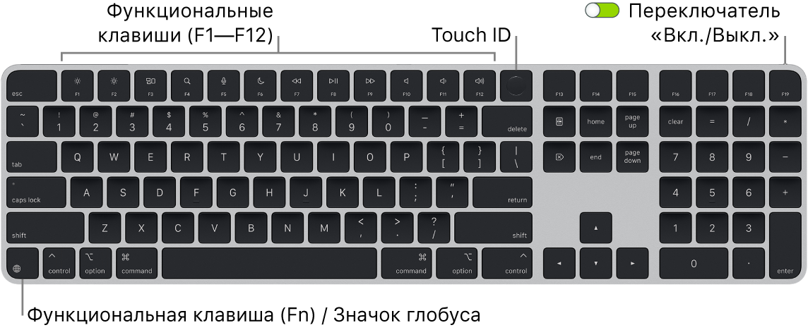 Клавиатура Magic Keyboard с сенсором Touch ID и цифровой клавишной панелью. Показаны функциональные клавиши, сенсор Touch ID вверху и клавиша Function (Fn)/клавиша с изображением глобуса внизу слева.