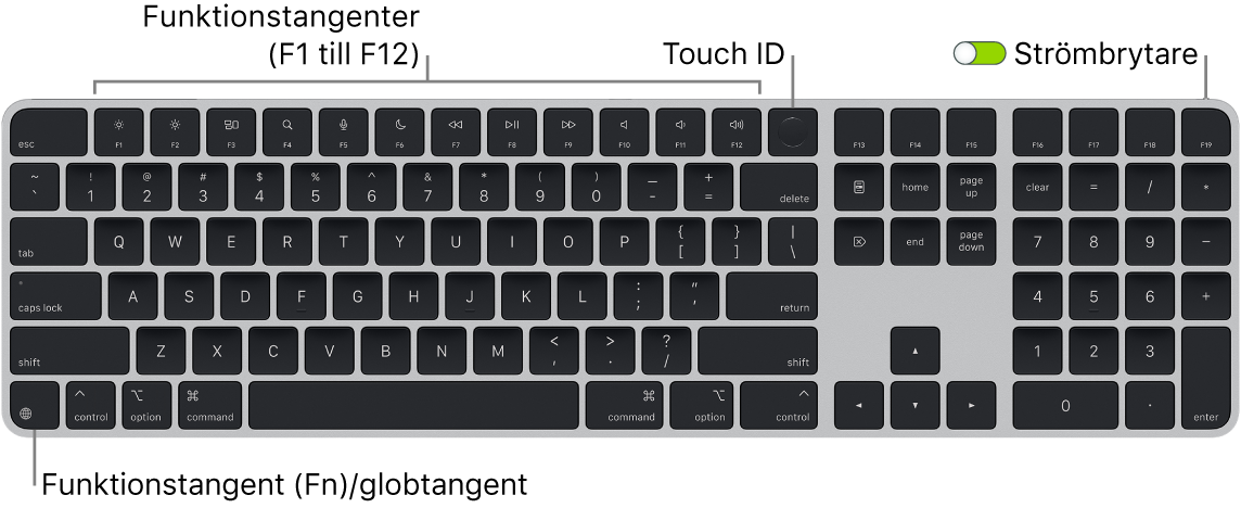 Magic Keyboard med Touch ID och numeriskt tangentbord där raden med funktionstangenter och Touch ID visas längs överkanten och funktions (Fn)-/globtangenten i nedre vänstra hörnet.