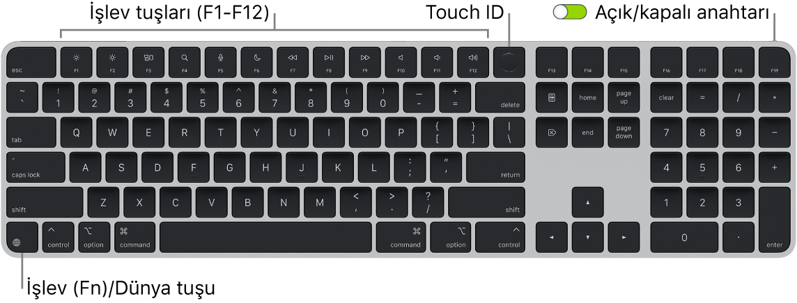 En üstte Touch ID ile işlev tuşları sırasını ve sol altta İşlev (Fn)/Dünya tuşunu gösteren Touch ID ve Sayısal Tuş Takımı özellikli Magic Keyboard.