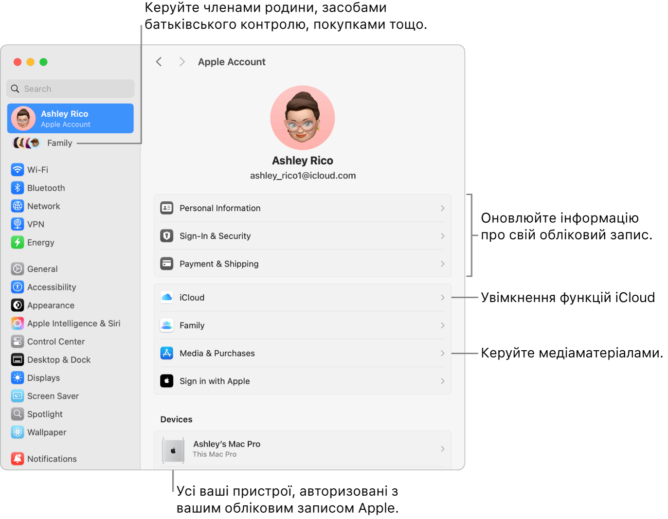Параметри облікового запису Apple у Системних параметрах із виносками для оновлення інформації про обліковий запис, увімкнення та вимкнення функцій iCloud, керування обліковими записами в соцмережах, а також розділ «Родина», у якому можна керувати учасниками родини, батьківським контролем, покупками тощо.